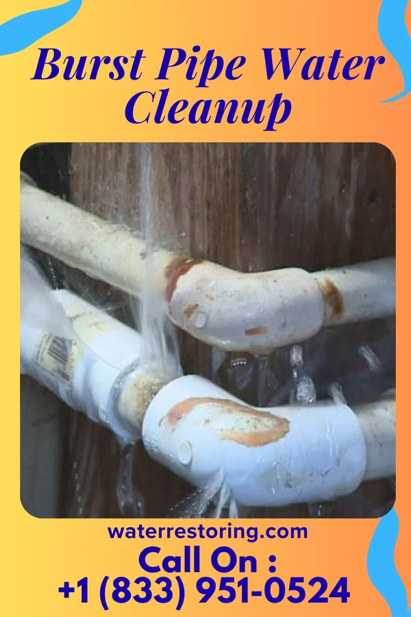 Burst Pipe Water Cleanup in Springwater Colony, MT