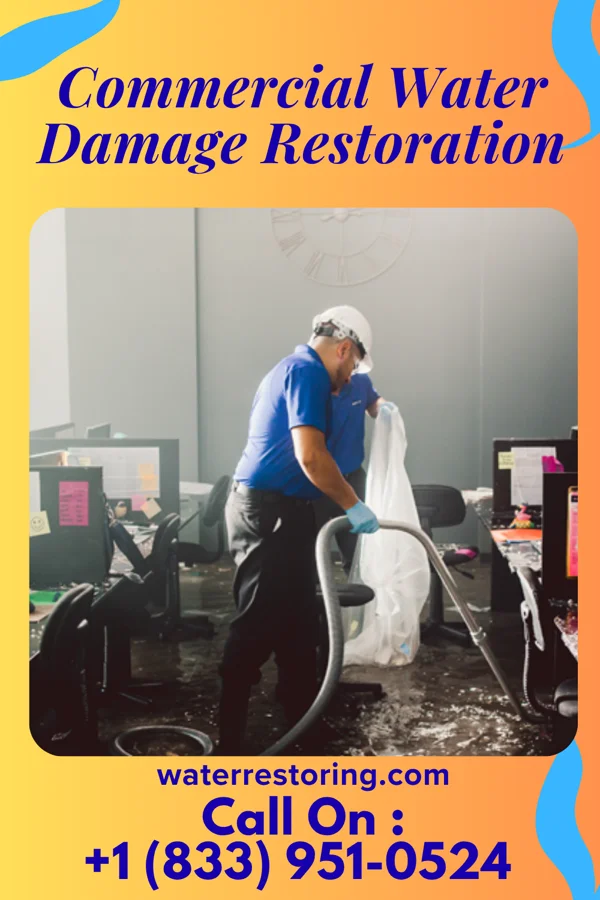 Commercial Water Damage Restoration in Springwater Colony, MT