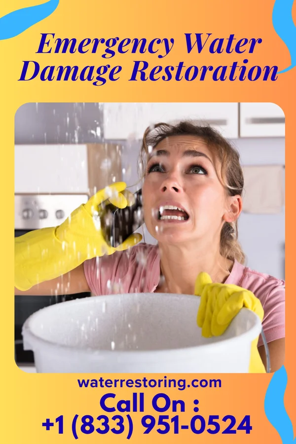 Emergency Water Damage Restoration in Springwater Colony, MT