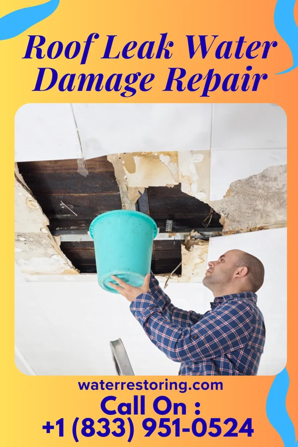 Roof Leak Water Damage Repair in Springwater Colony, MT