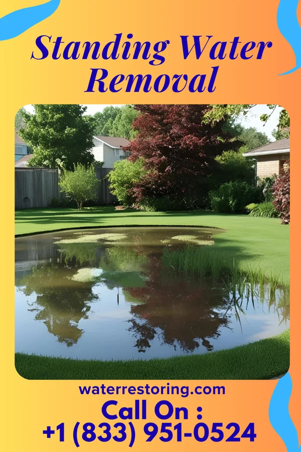 Standing Water Removal in Springwater Colony, MT